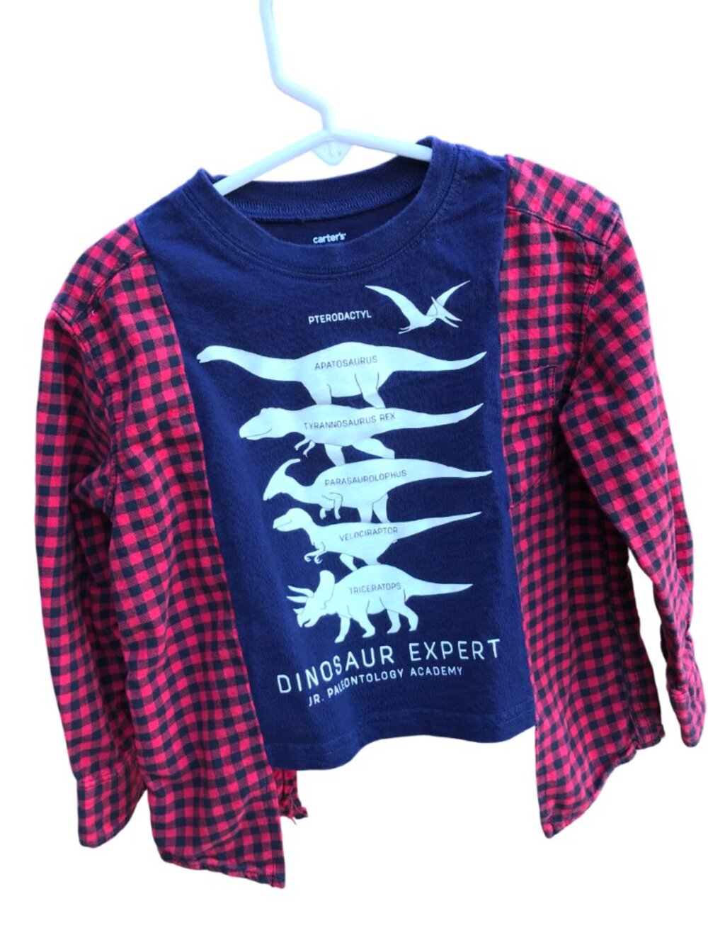 Upcycled Kid’s Flannel Tee, Dinosaur Graphic T-Shirt w/Flannel Sleeves Size 2-4
